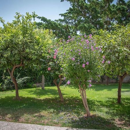 Piso Con Jardin Apartment Málaga Exterior foto